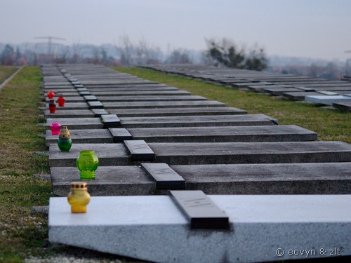 Cmentarz Żołnierzy Polskich