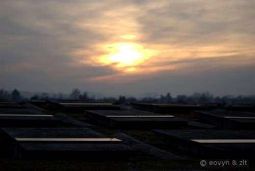 Cmentarz Żołnierzy Polskich