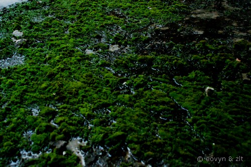 Budynek Jedynki - plac Rozjezdny