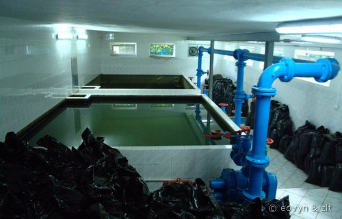 Wieża ciśnień w Leśnicy