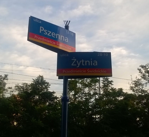 Pszenna Żytnia