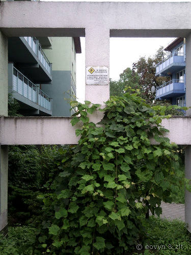 W hołdzie polskim więźniom.