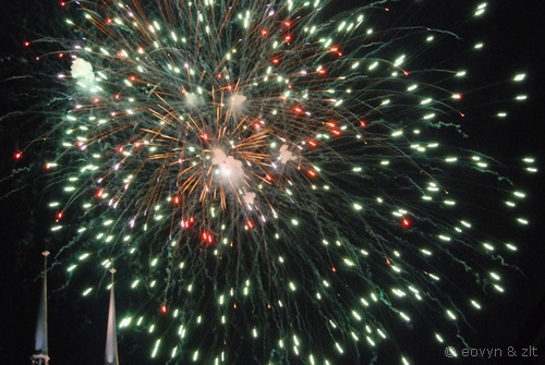 Wratislavia Cantans na Ostrowie