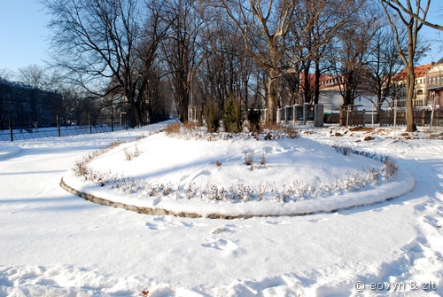 powrót zima Wrocław