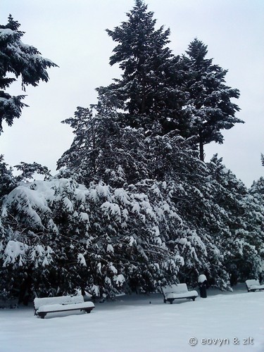 Zima 2010 we Wrocławiu