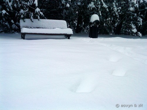 Zima 2010 we Wrocławiu