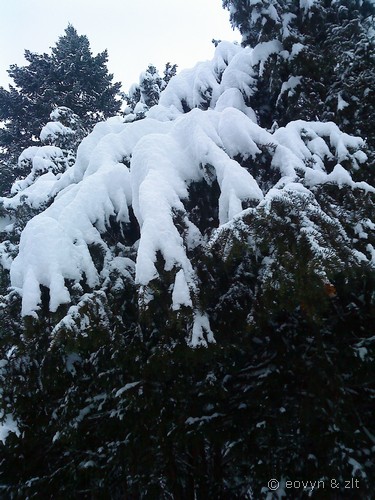 Zima 2010 we Wrocławiu