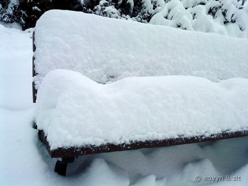 Zima 2010 we Wrocławiu