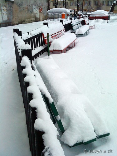 zima 2010 we Wrocławiu