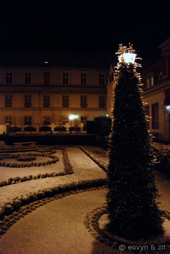 Ogród Ossolińskich